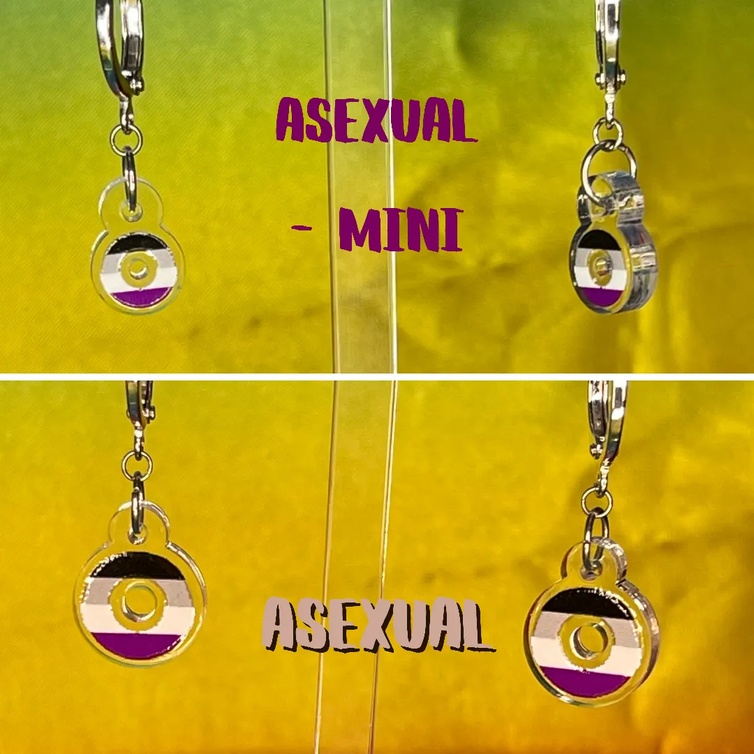 Asexual Pride Flag Inspired Earrings