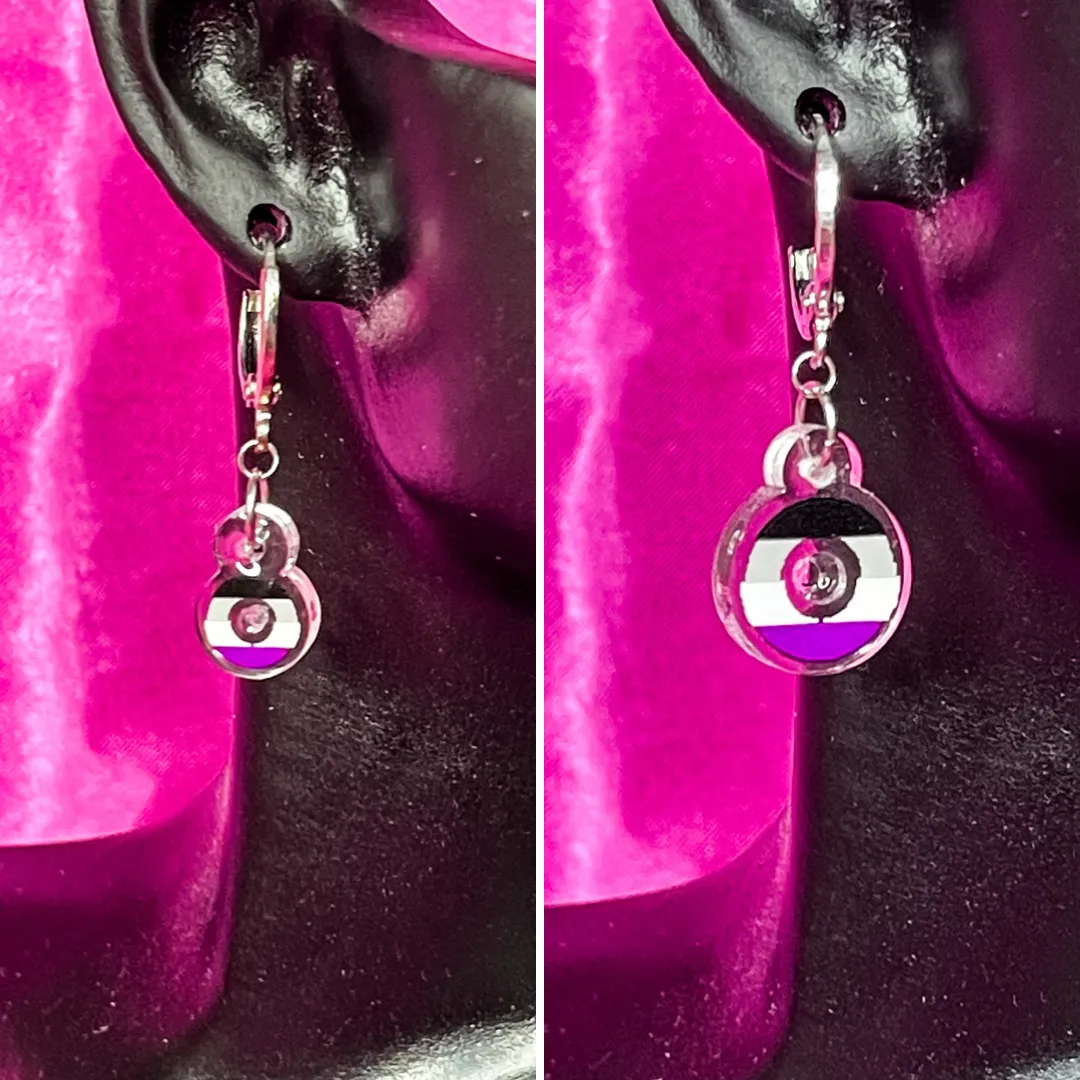 Asexual Pride Flag Inspired Earrings