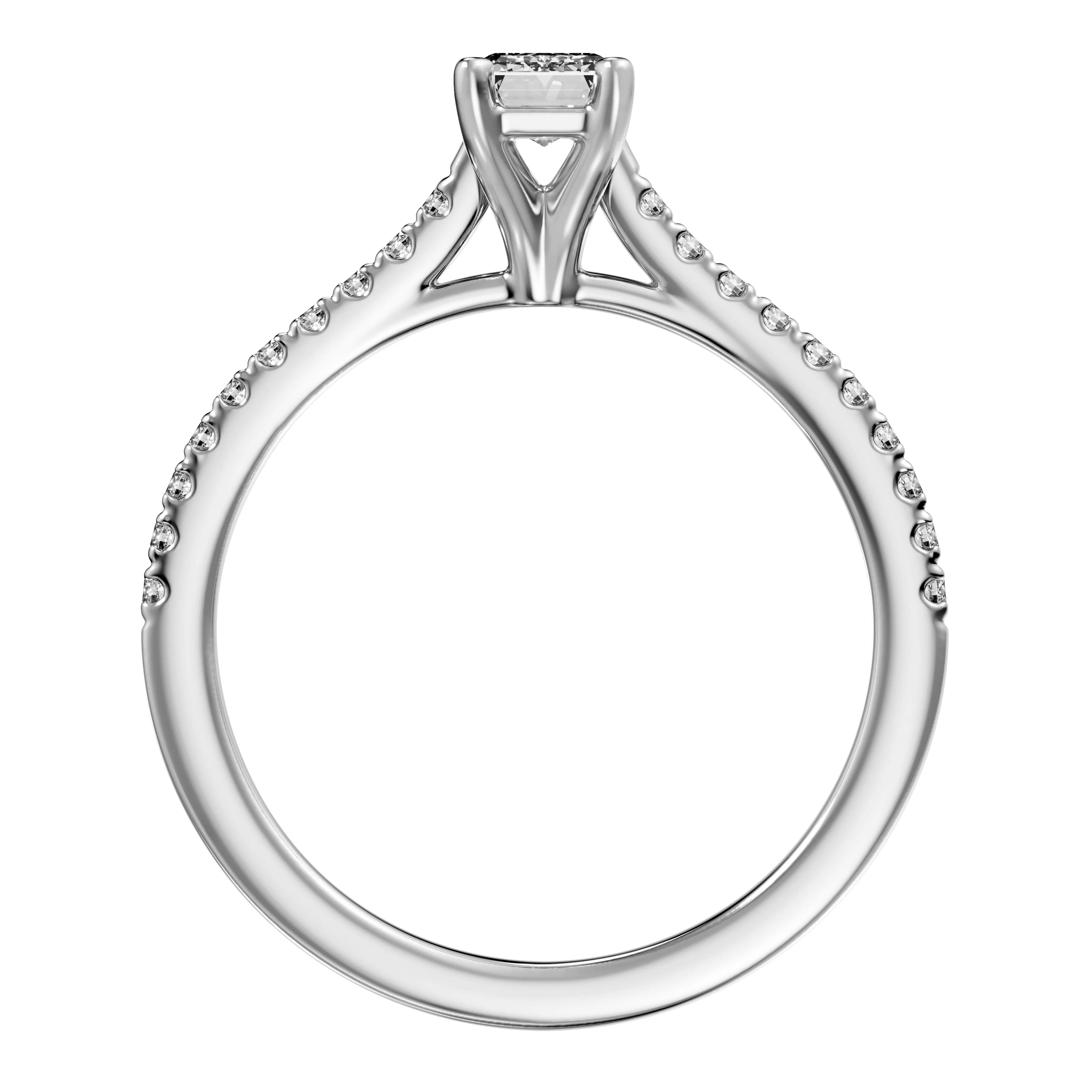 Diamond Accented Emerald/Radiant Setting