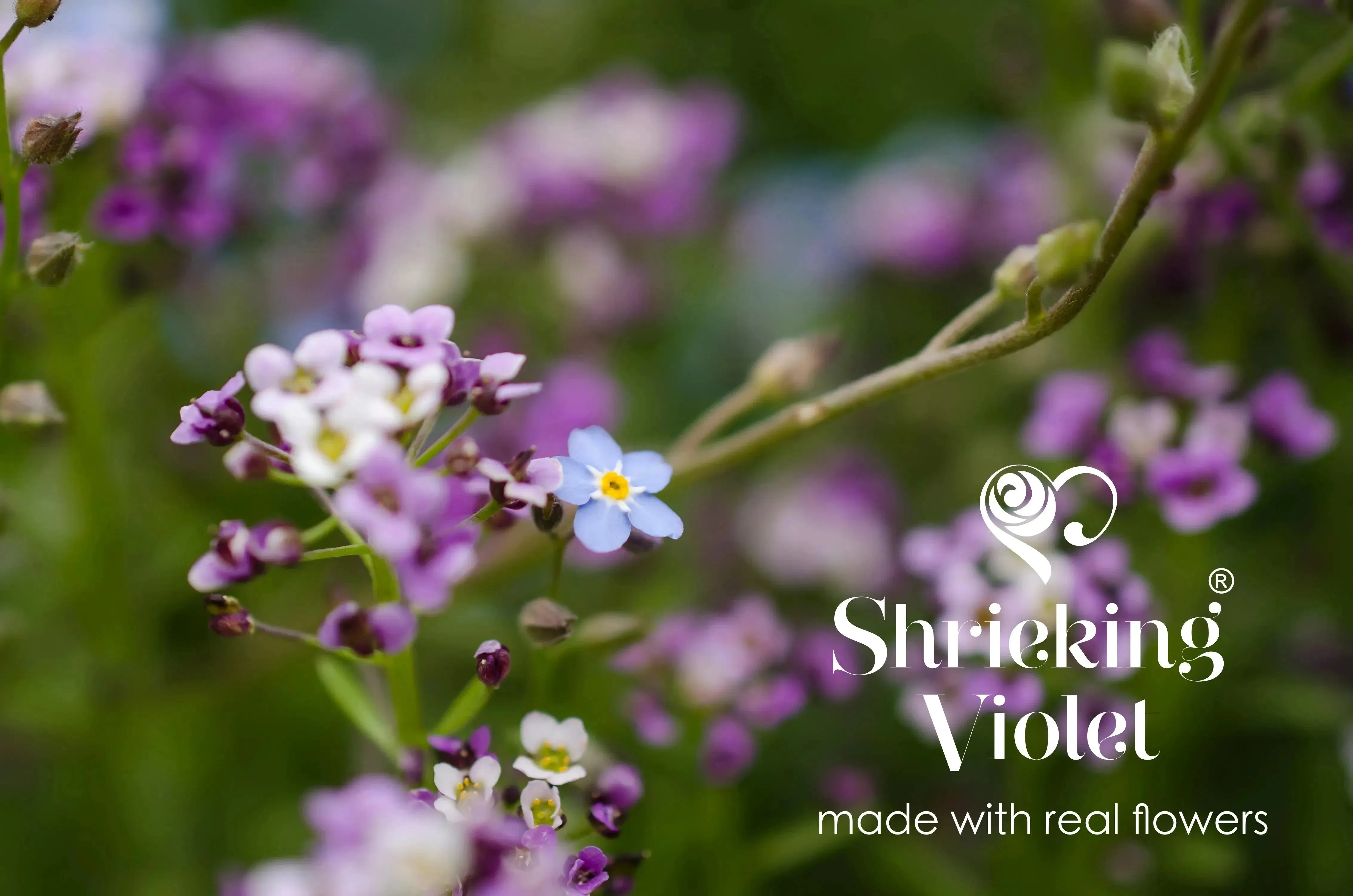 Flower ring by Shrieking Violet Sterling silver adjustable ring. Heart charm filled with tiny flowers including a  miniature rose & forget-me not