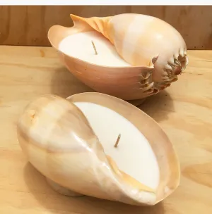 Hunter Gatherer Melo Shell Candle - Large
